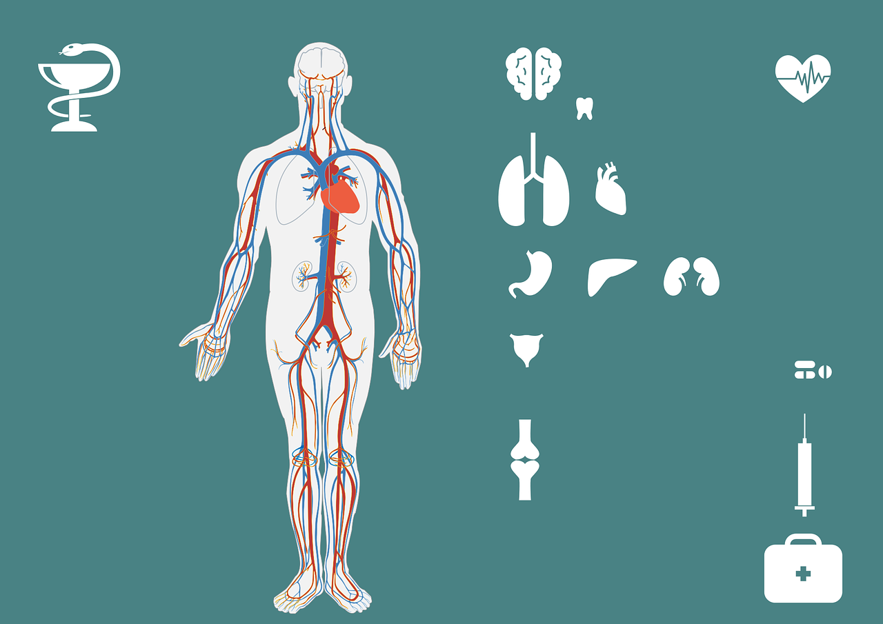 结构健康守护者，守护建筑与生活的和谐共生结构健康守护者是什么  第1张